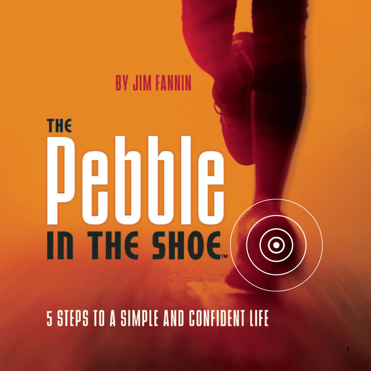 The Pebble in the Shoe