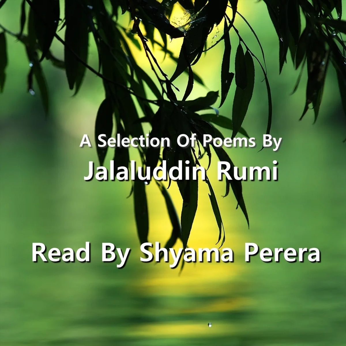 A Selection of Poems by Jalāl ad–Dīn ar–Rūmī