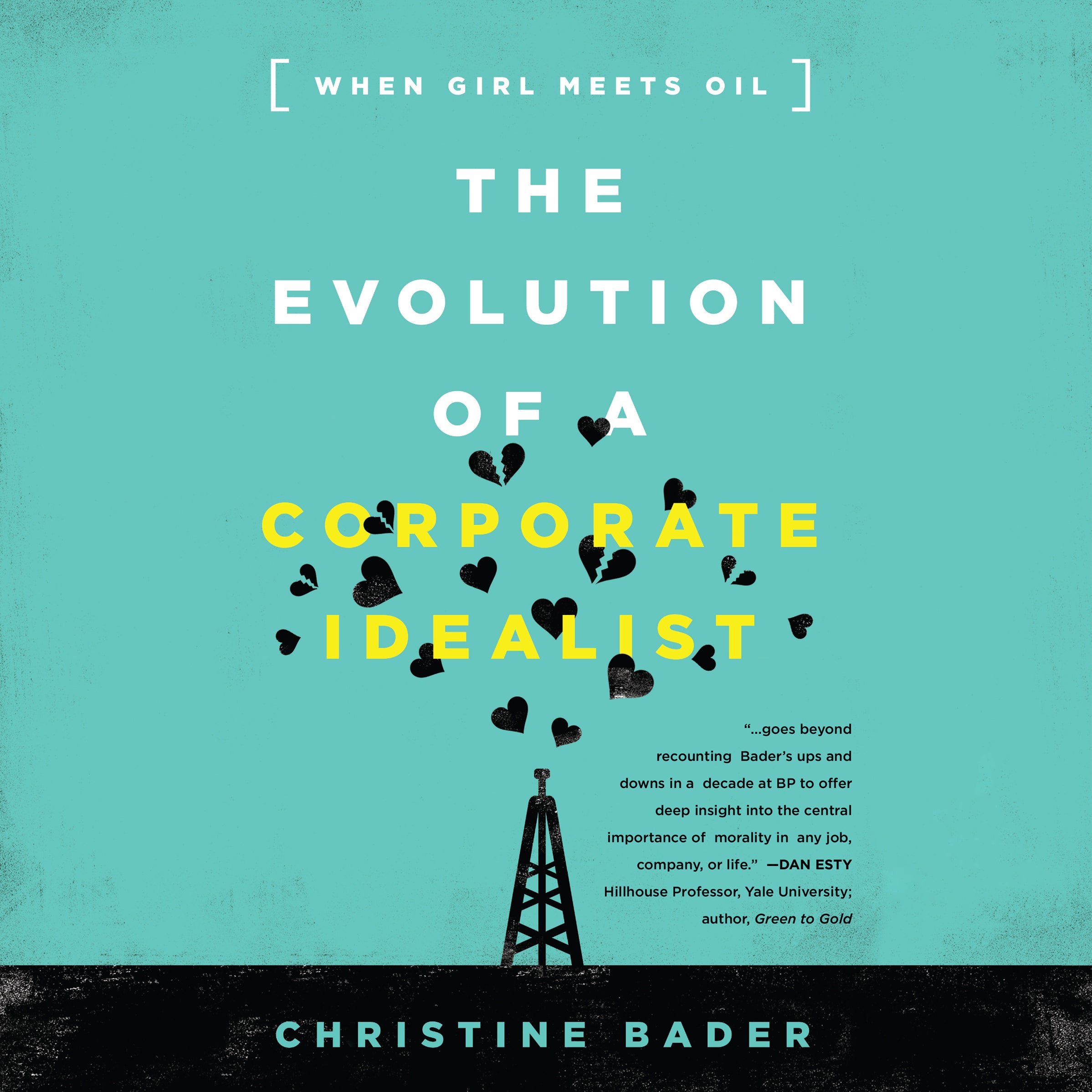 The Evolution a Corporate Idealist