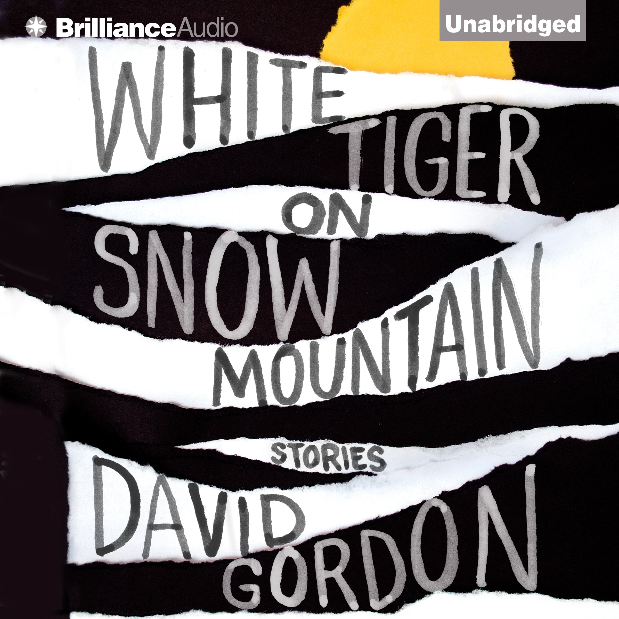 White Tiger on Snow Mountain