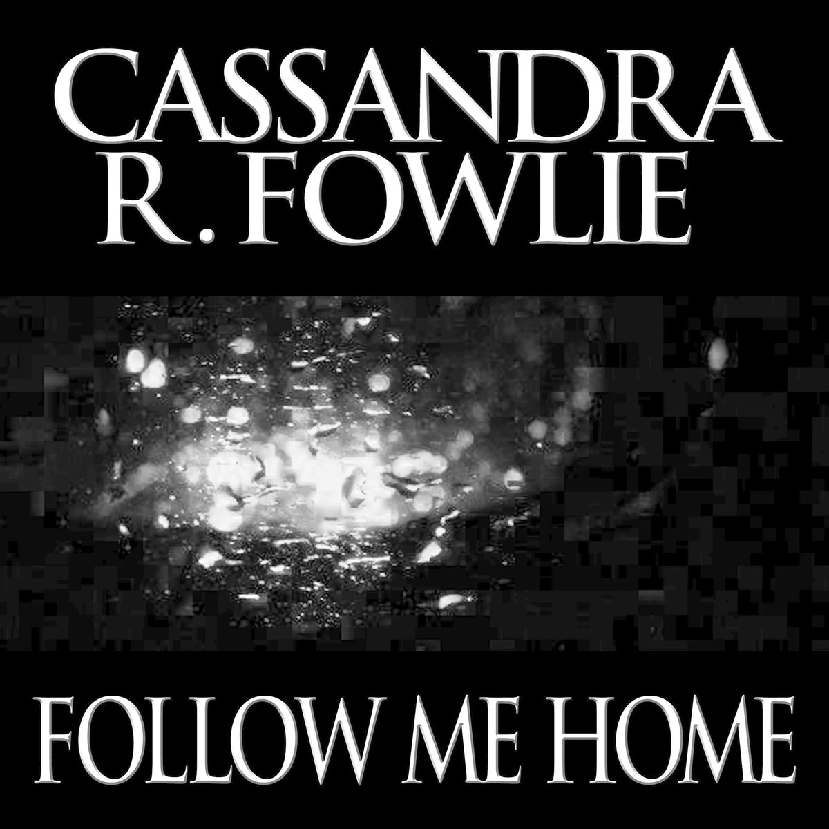 Follow Me Home