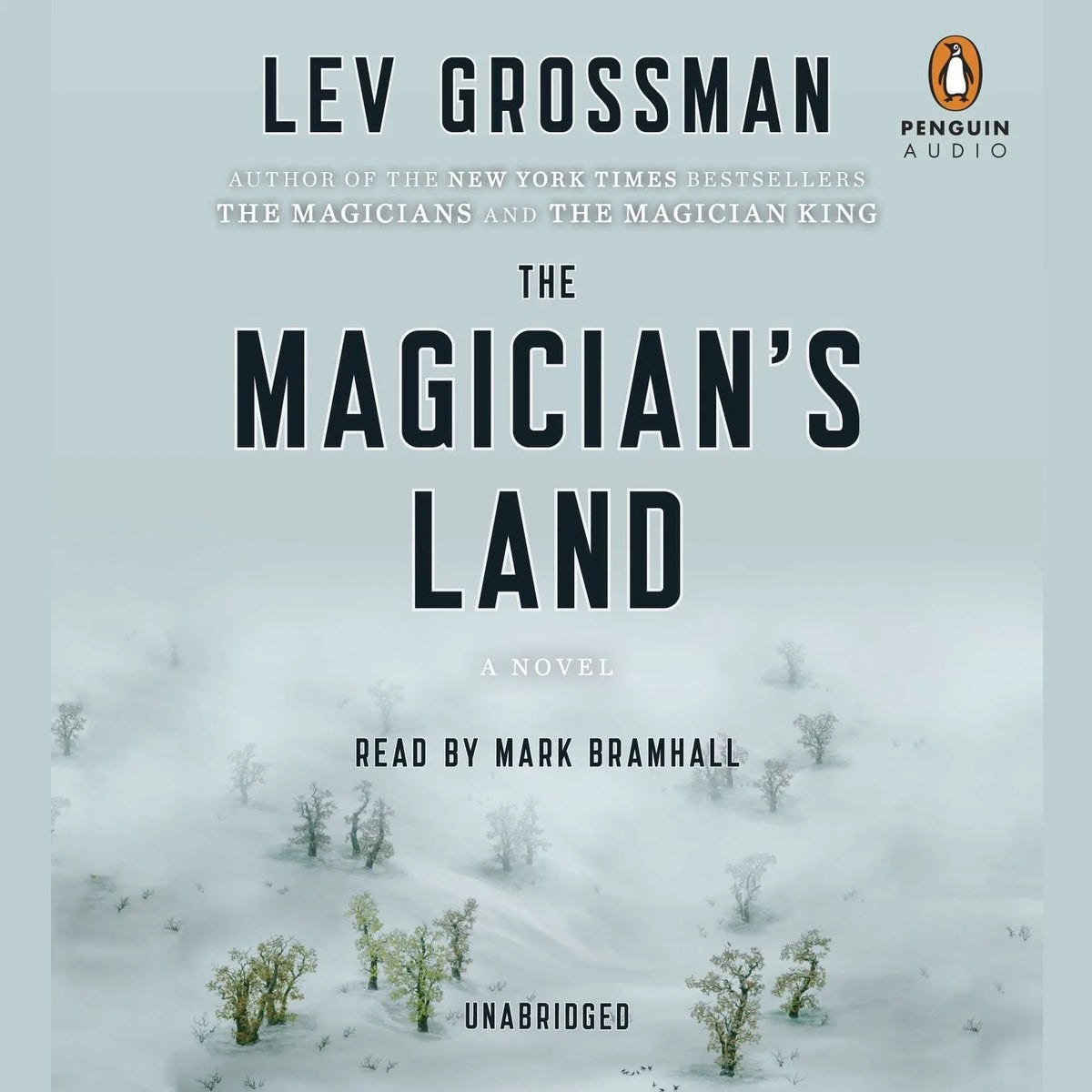 The Magician's Land