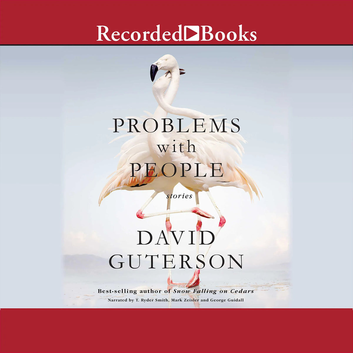 Problems with People