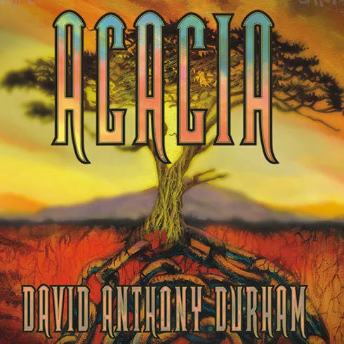 Acacia