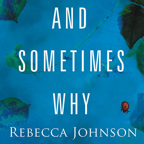 And Sometimes Why