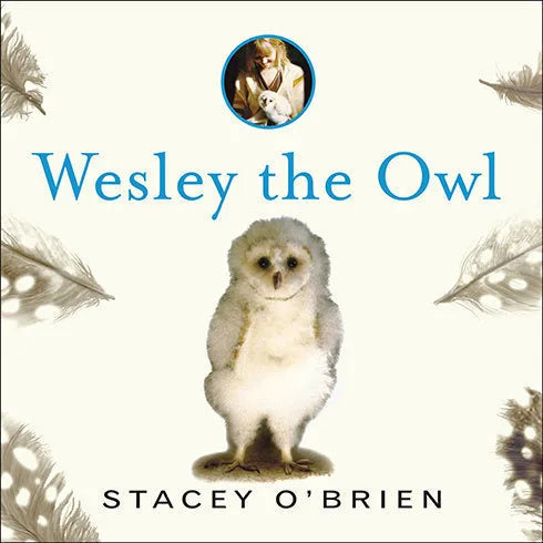 Wesley the Owl