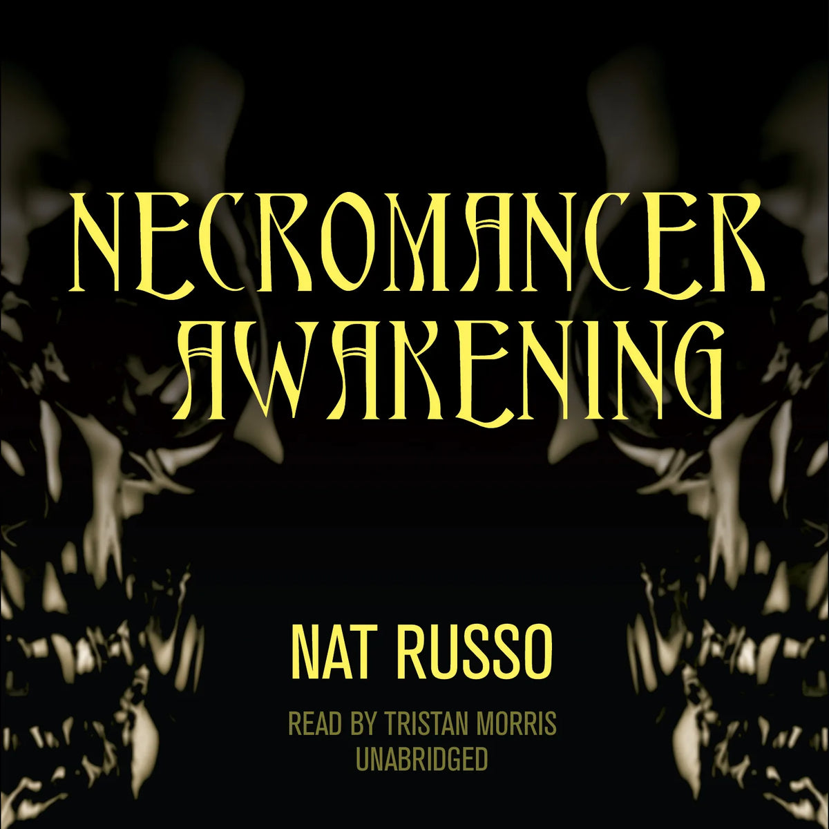 Necromancer Awakening