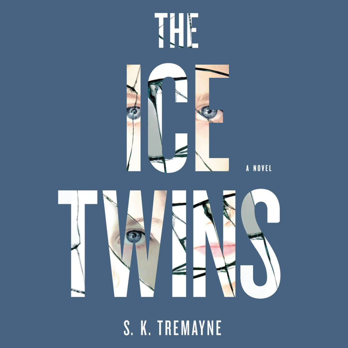 The Ice Twins