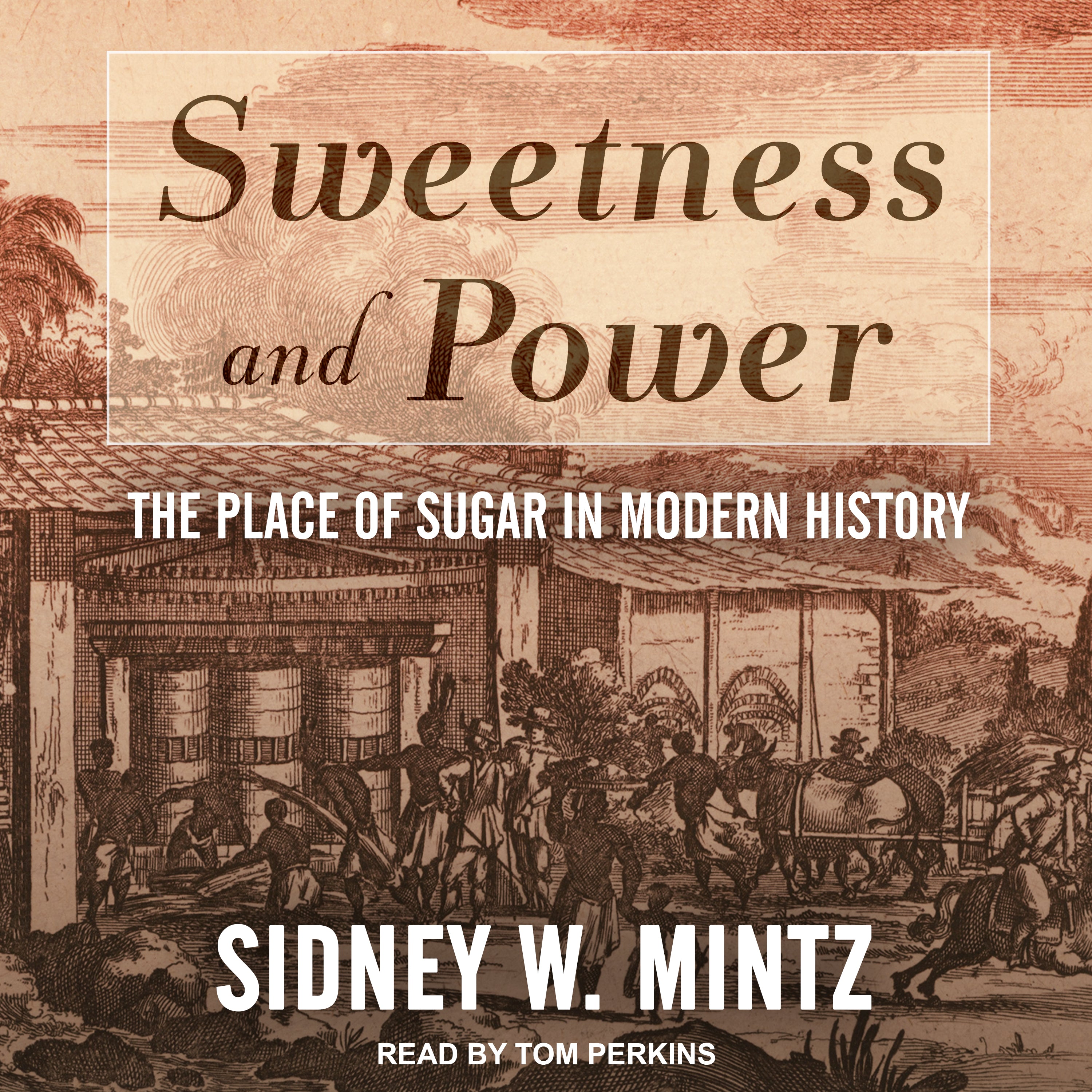 Sweetness and Power