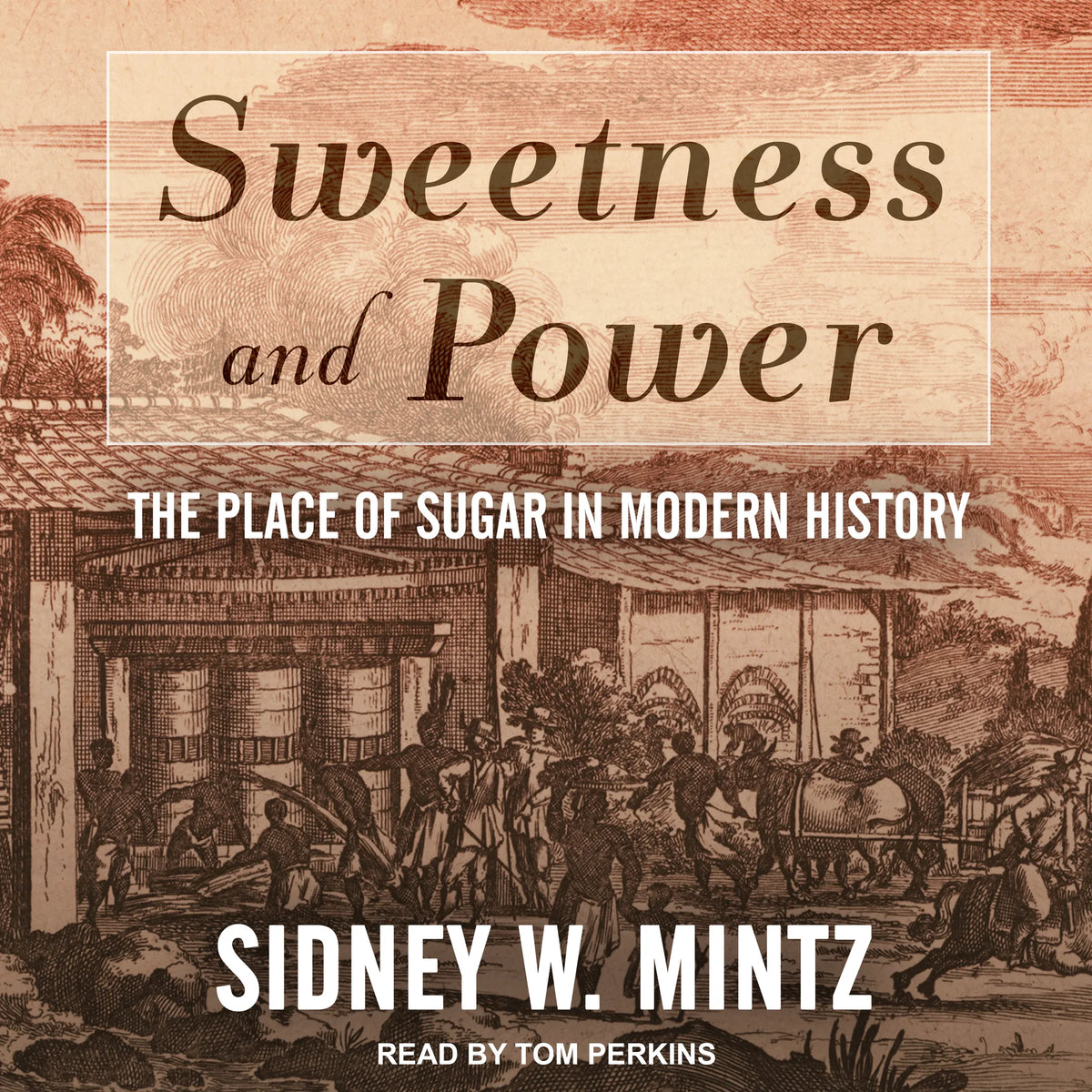 Sweetness and Power