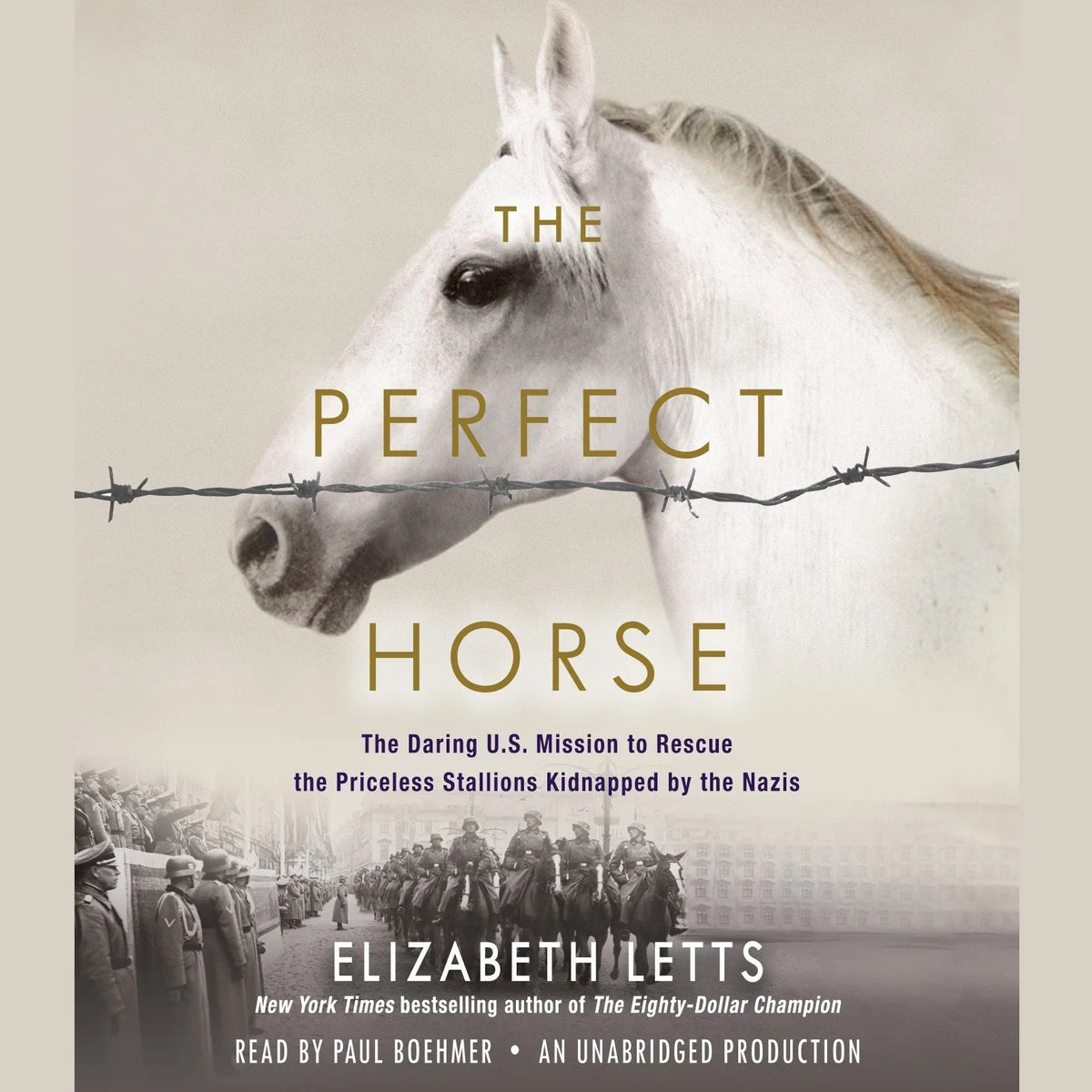 The Perfect Horse