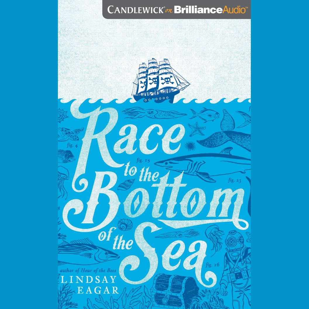 Race to the Bottom of the Sea