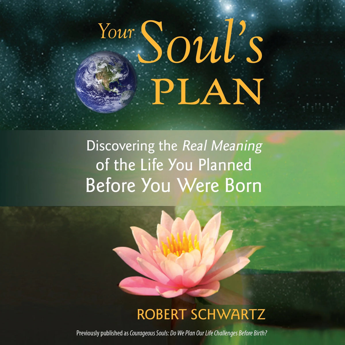 Your Soul's Plan