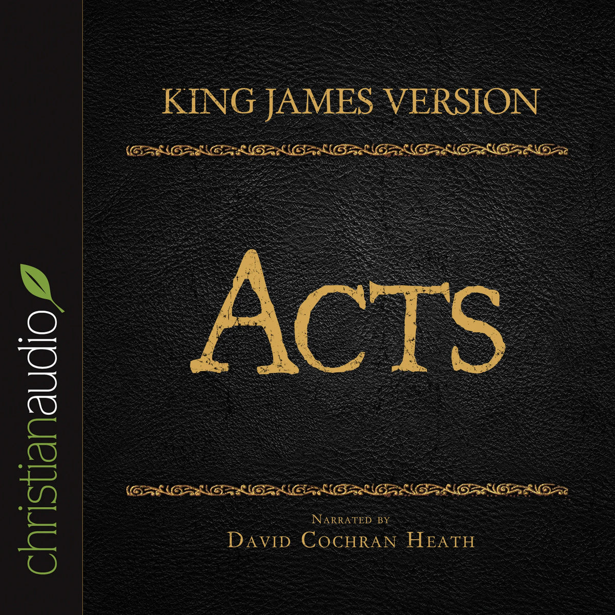 Holy Bible in Audio - King James Version: Acts
