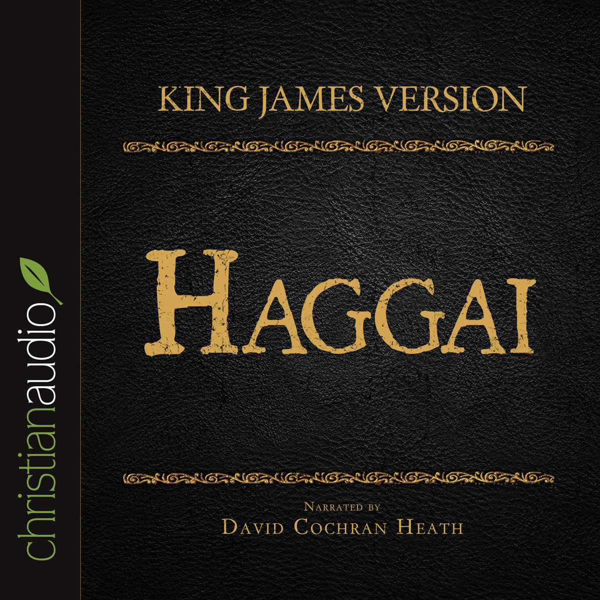 Holy Bible in Audio - King James Version: Haggai