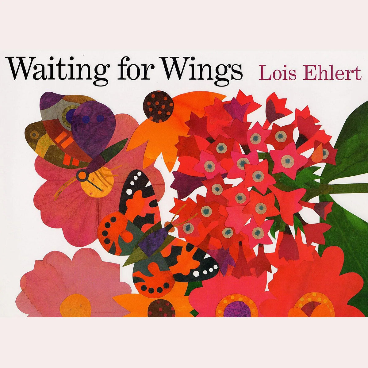 Waiting for Wings