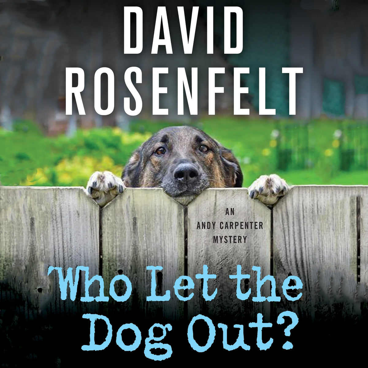 Who Let the Dog Out?