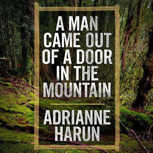 A Man Came Out of a Door in the Mountain