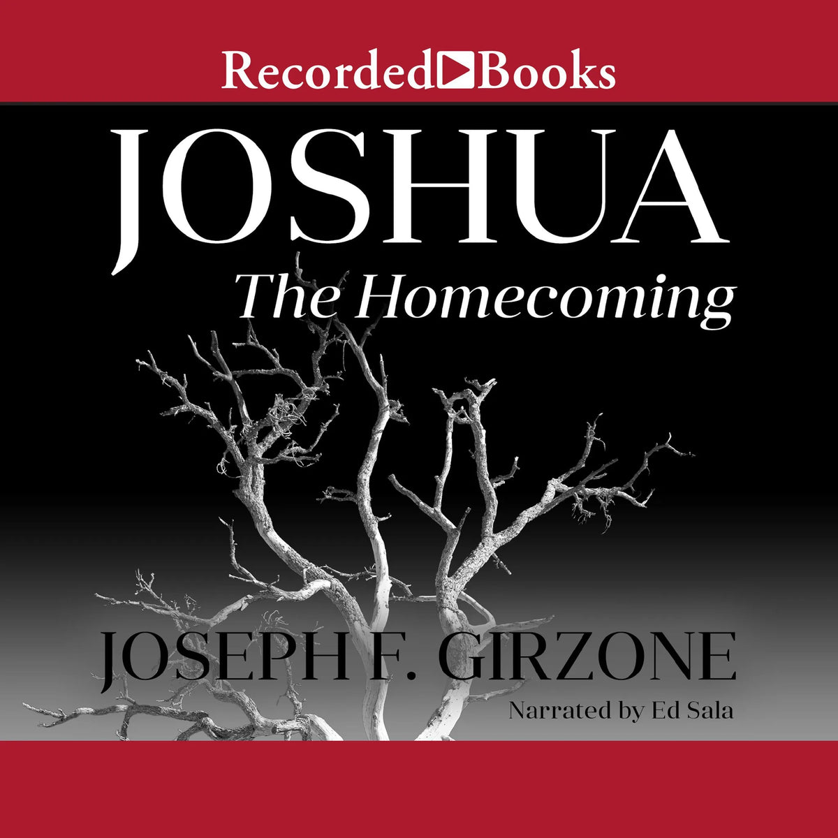 Joshua