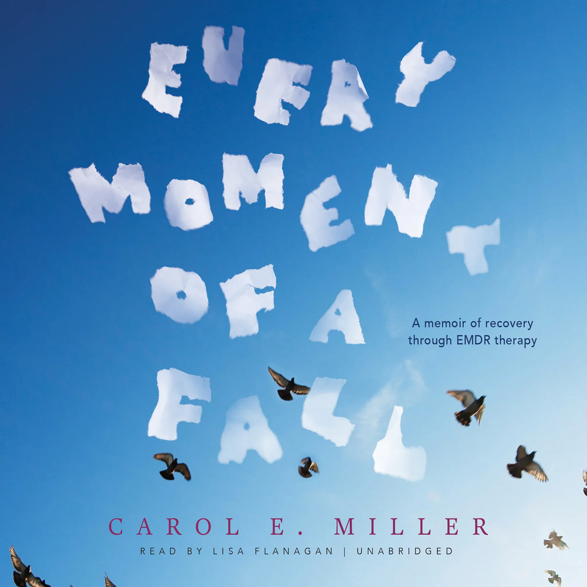 Every Moment of a Fall