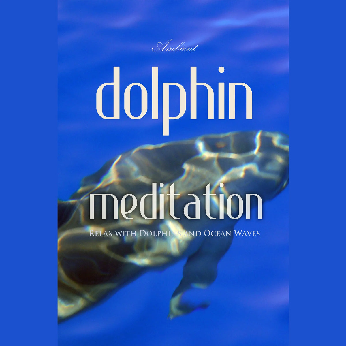 Dolphin Meditation: Relax with Dolphins and Ocean Waves