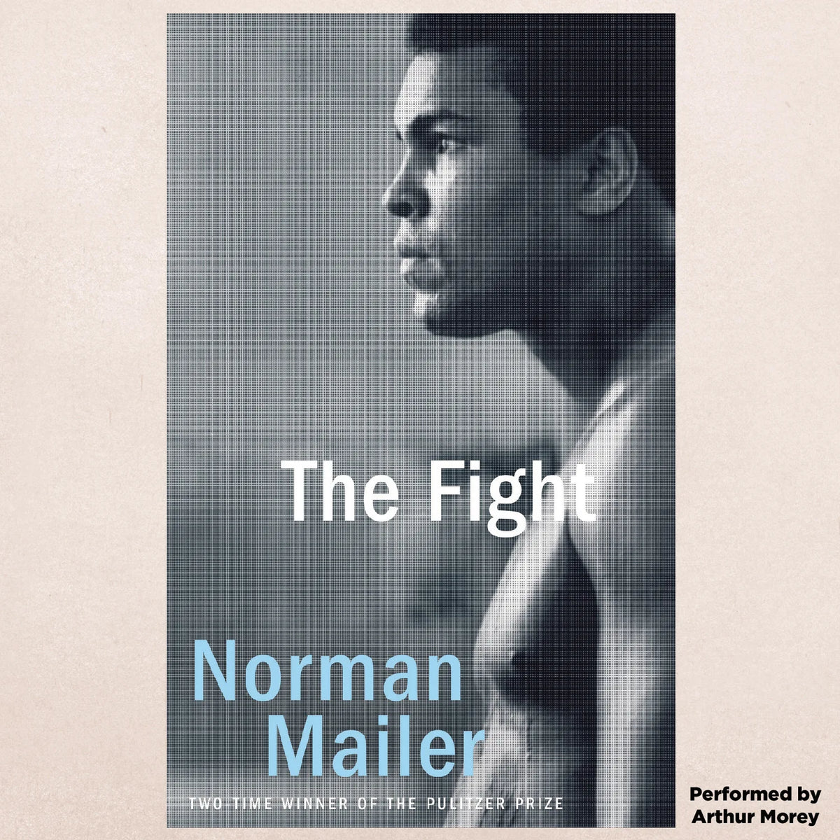 The Fight