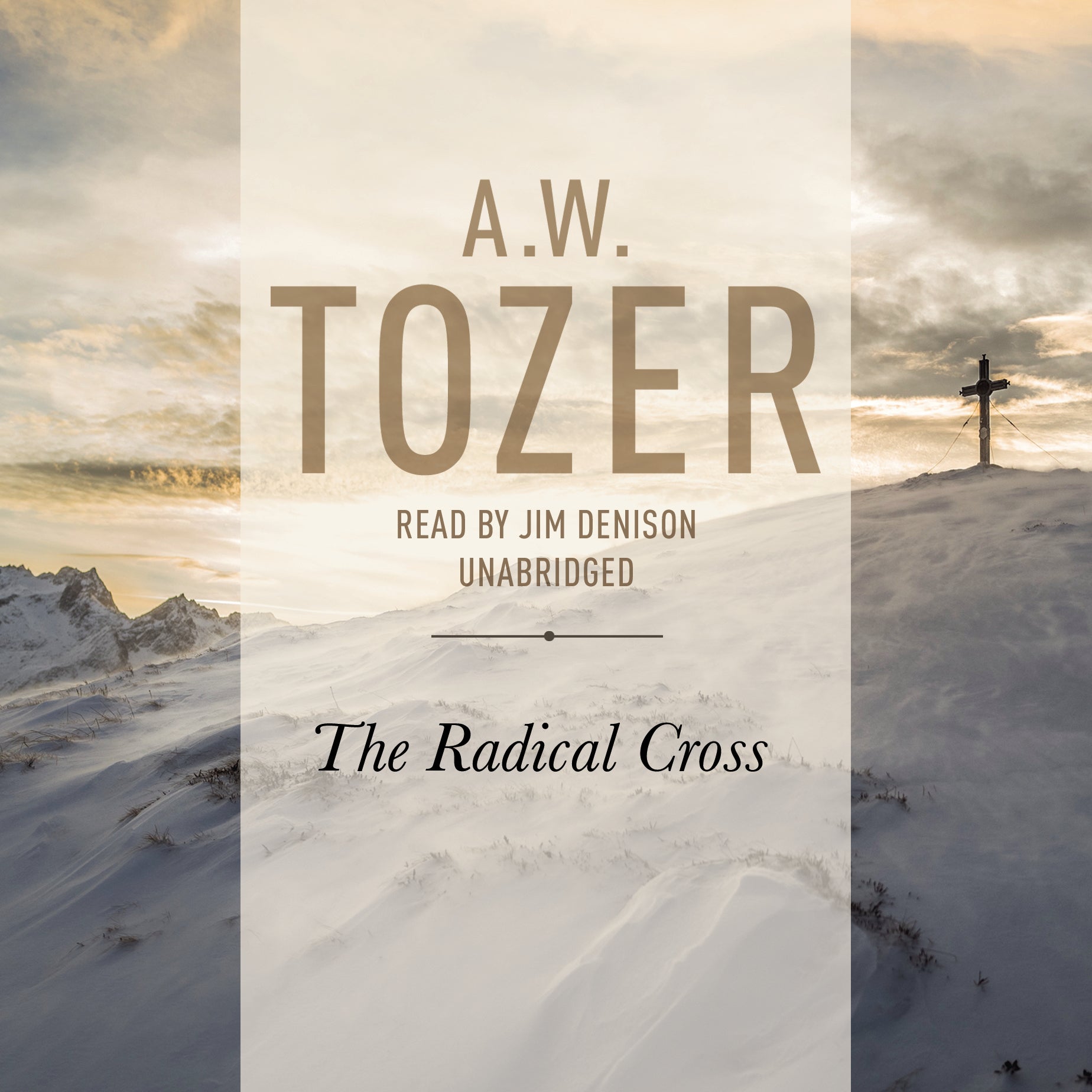 Radical Cross