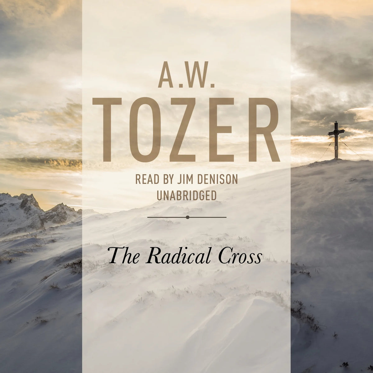 Radical Cross