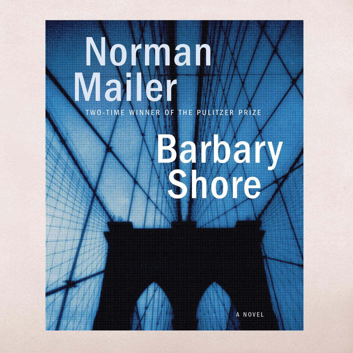 Barbary Shore