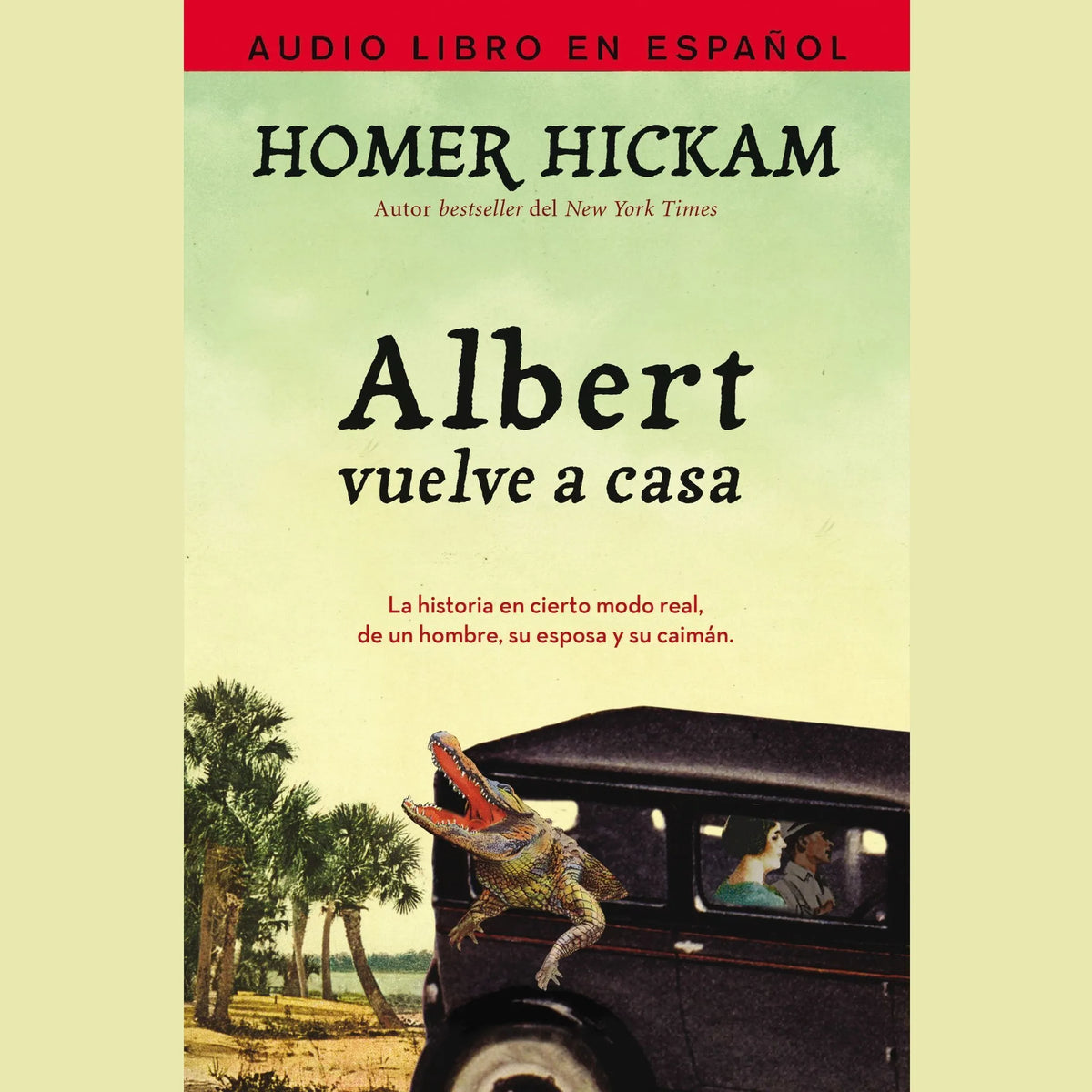Albert vuelve a casa