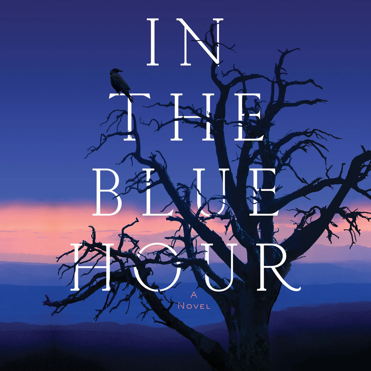In the Blue Hour