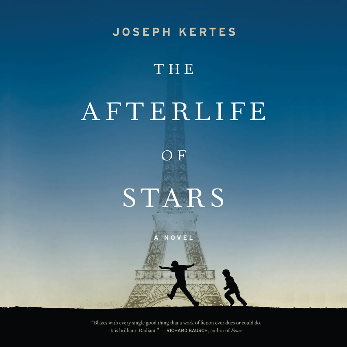 The Afterlife of Stars