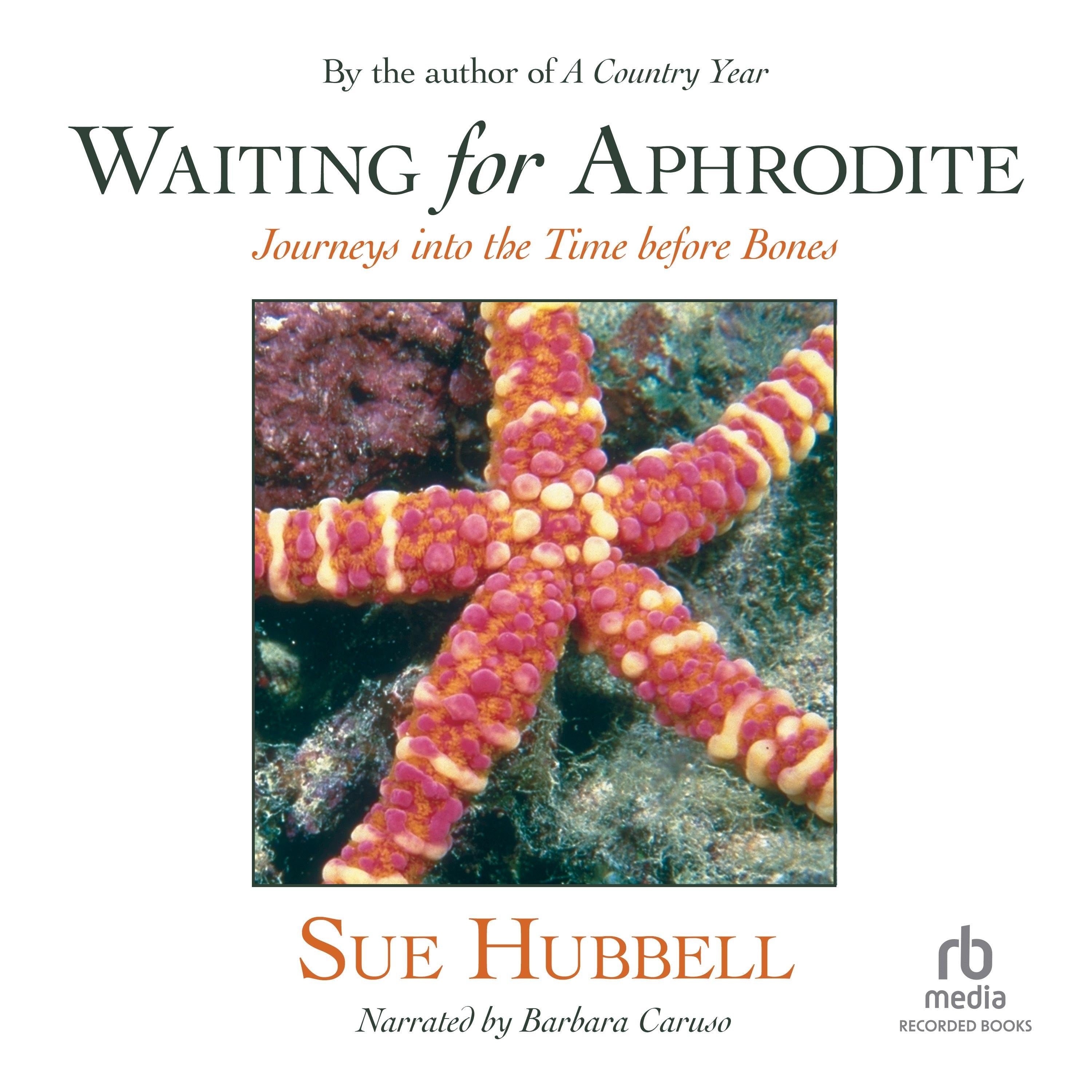 Waiting for Aphrodite