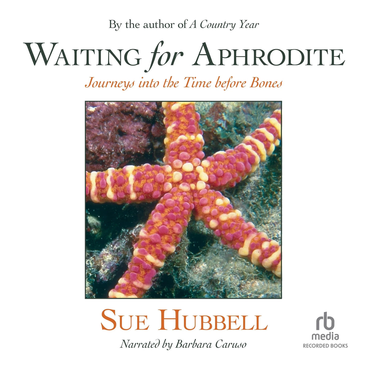 Waiting for Aphrodite
