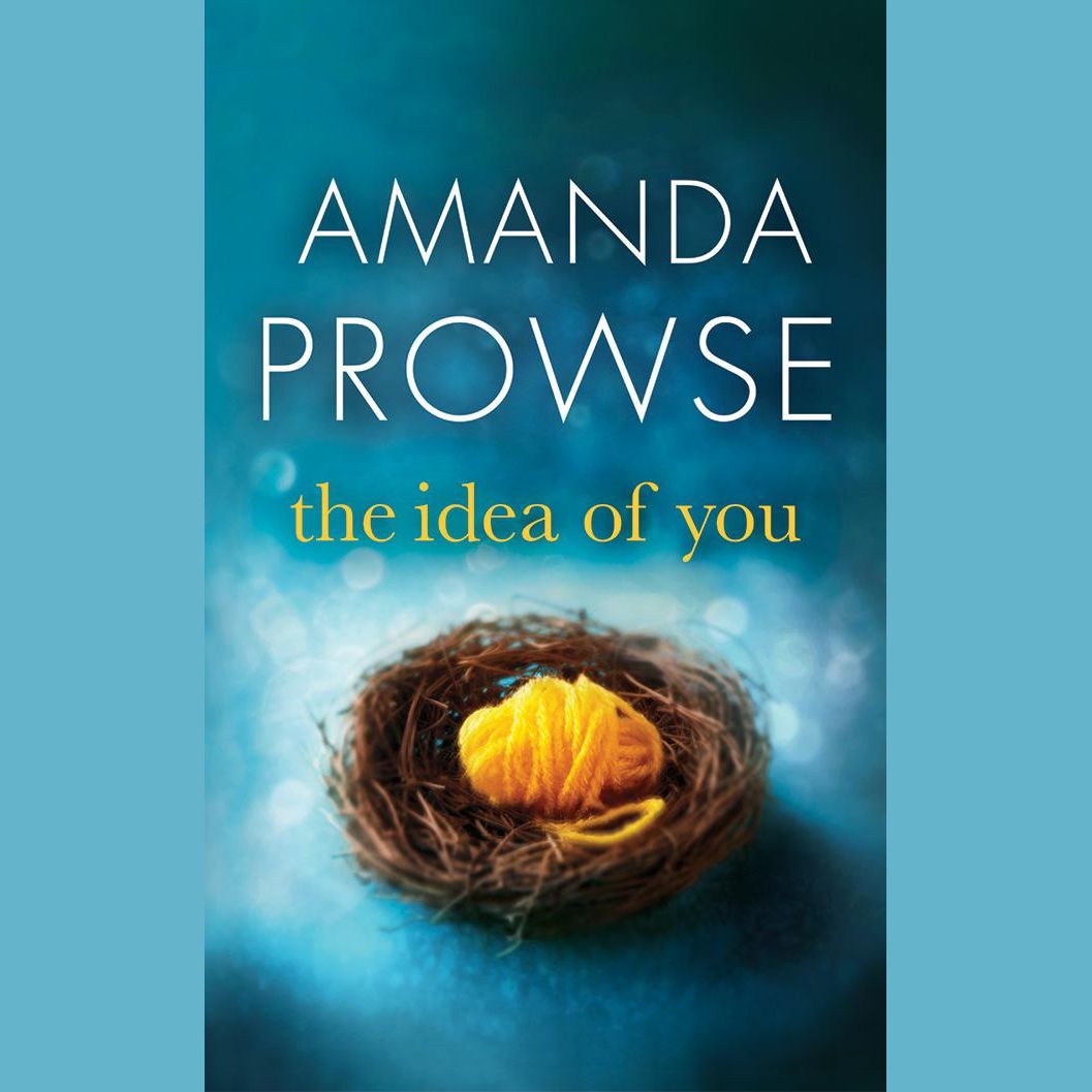The Idea of You