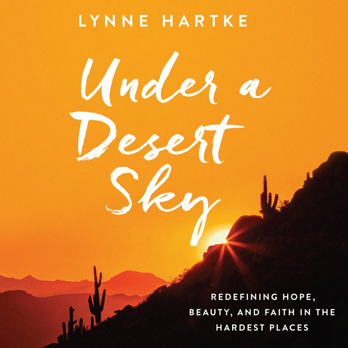Under a Desert Sky