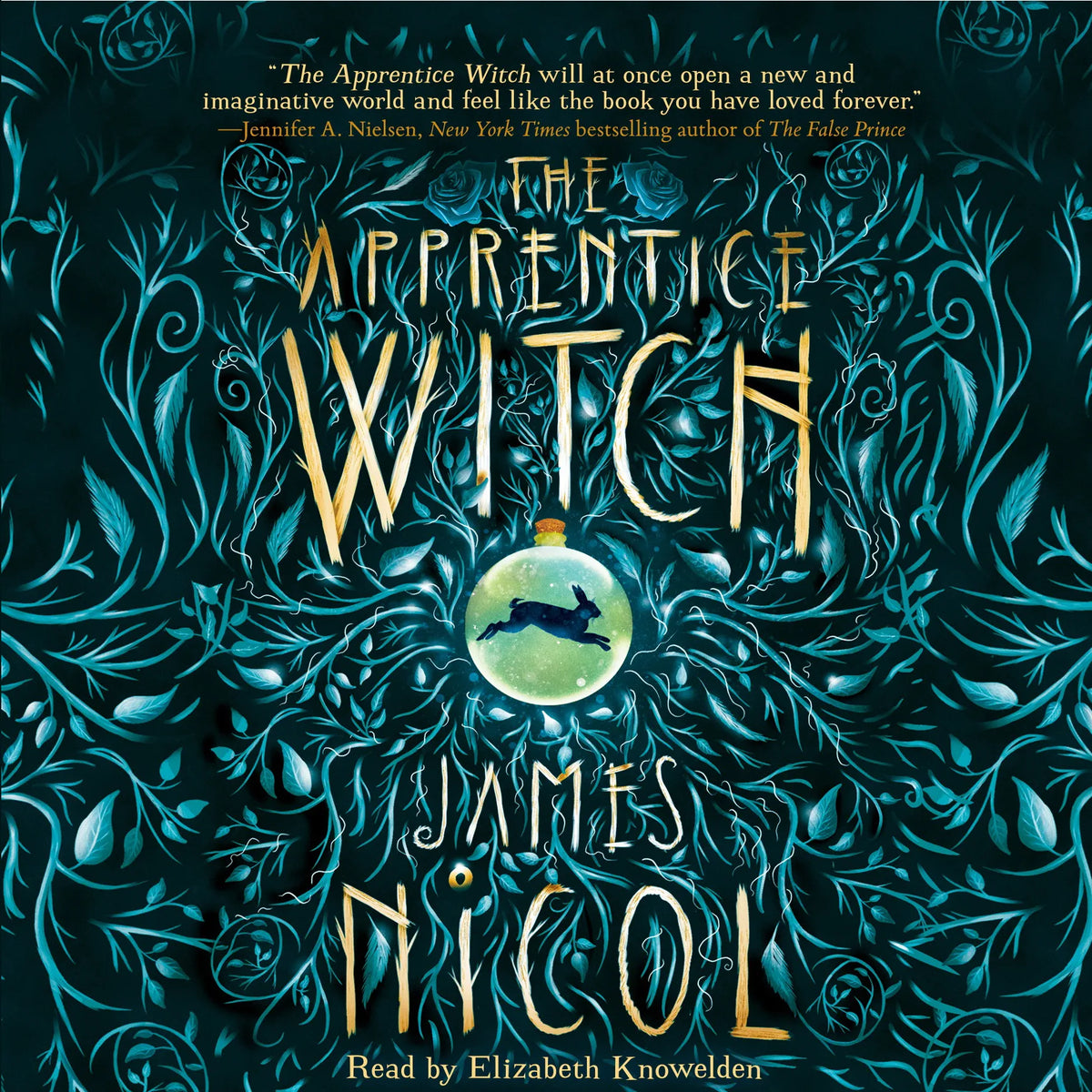 The Apprentice Witch