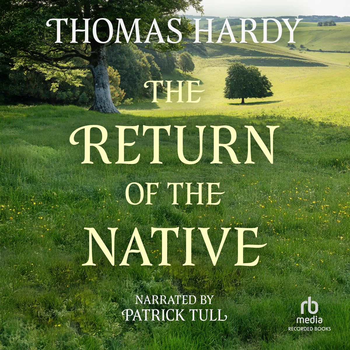 The Return of the Native
