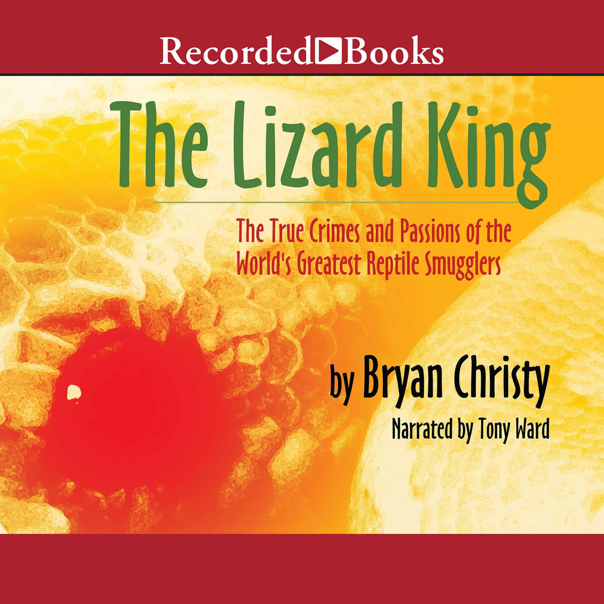 The Lizard King