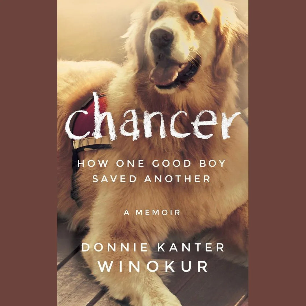 Chancer
