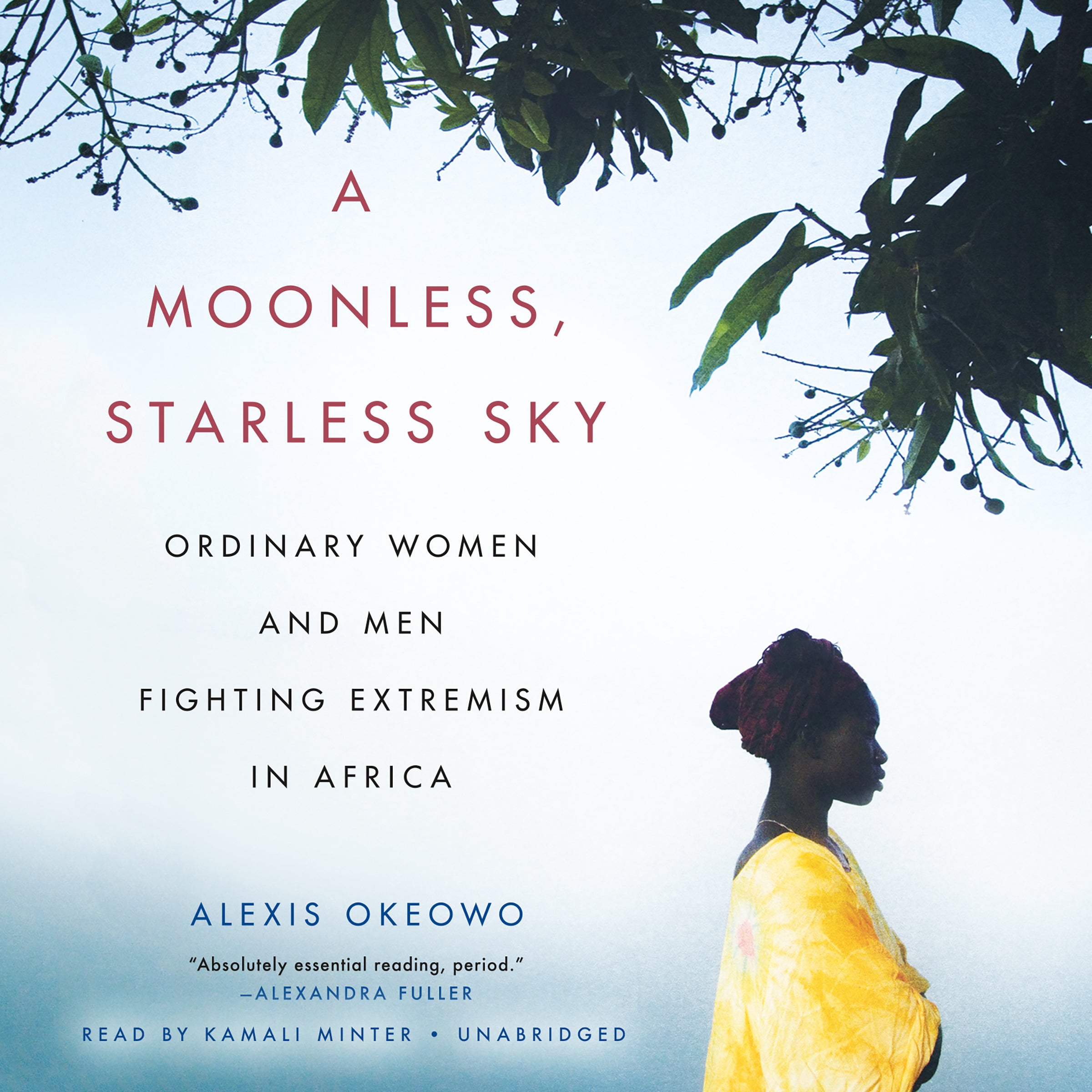 A Moonless, Starless Sky