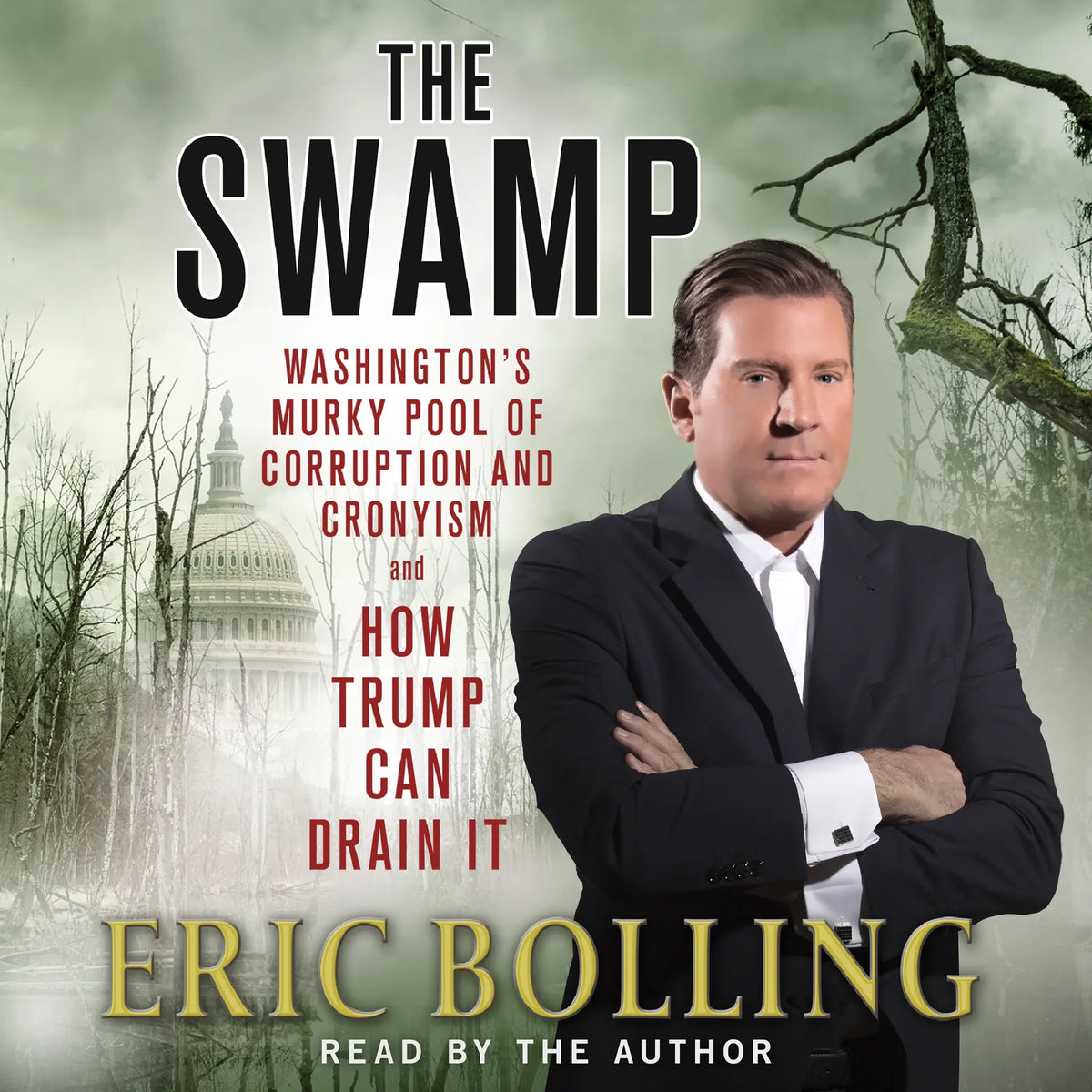 The Swamp
