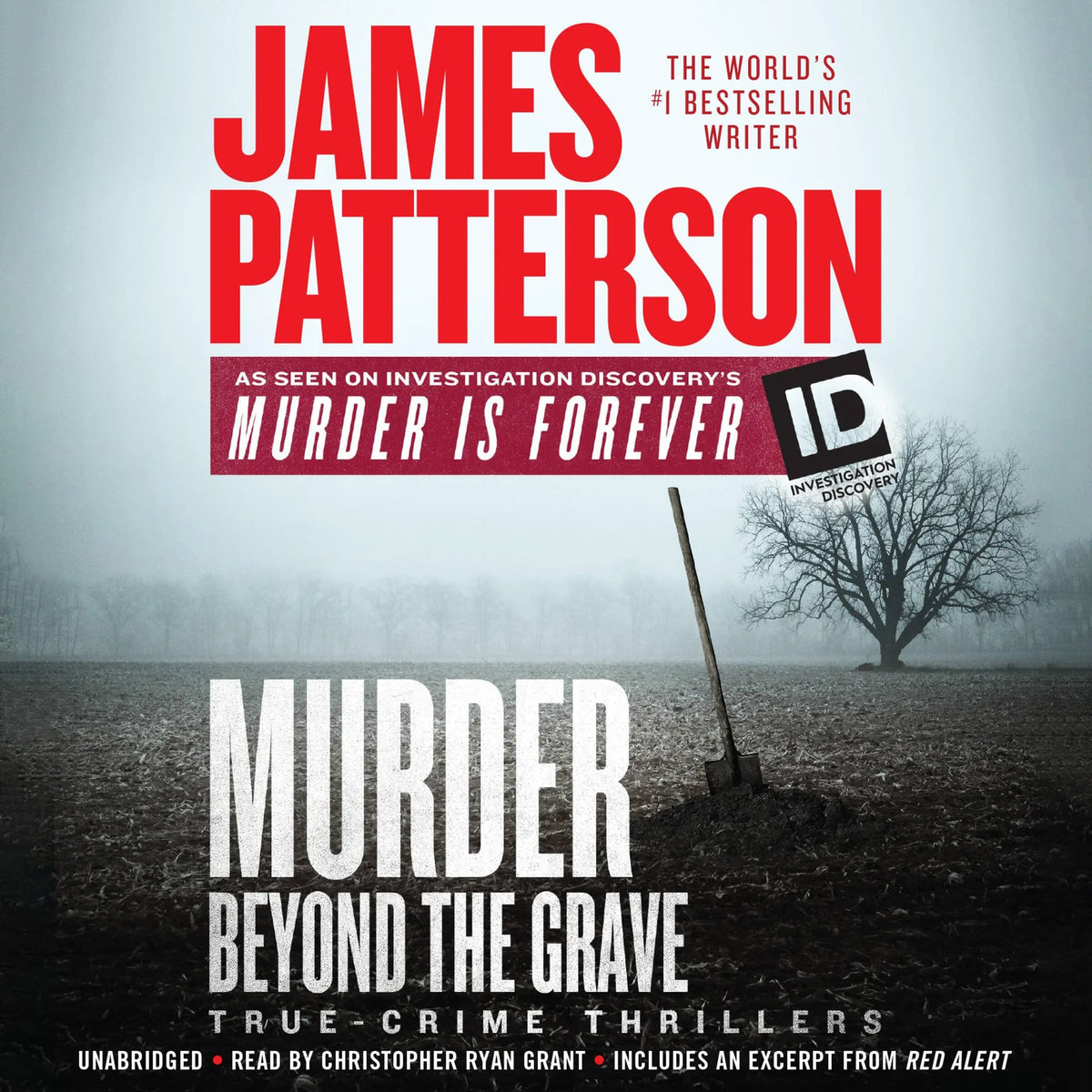 Murder Beyond the Grave