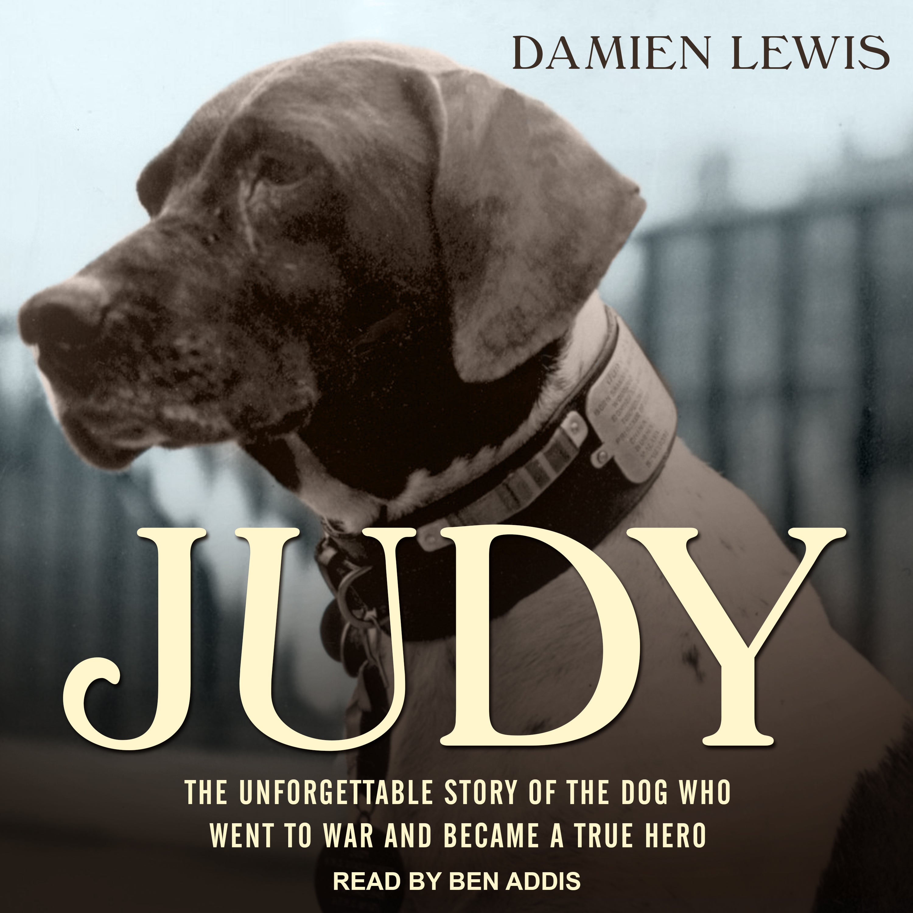 Judy