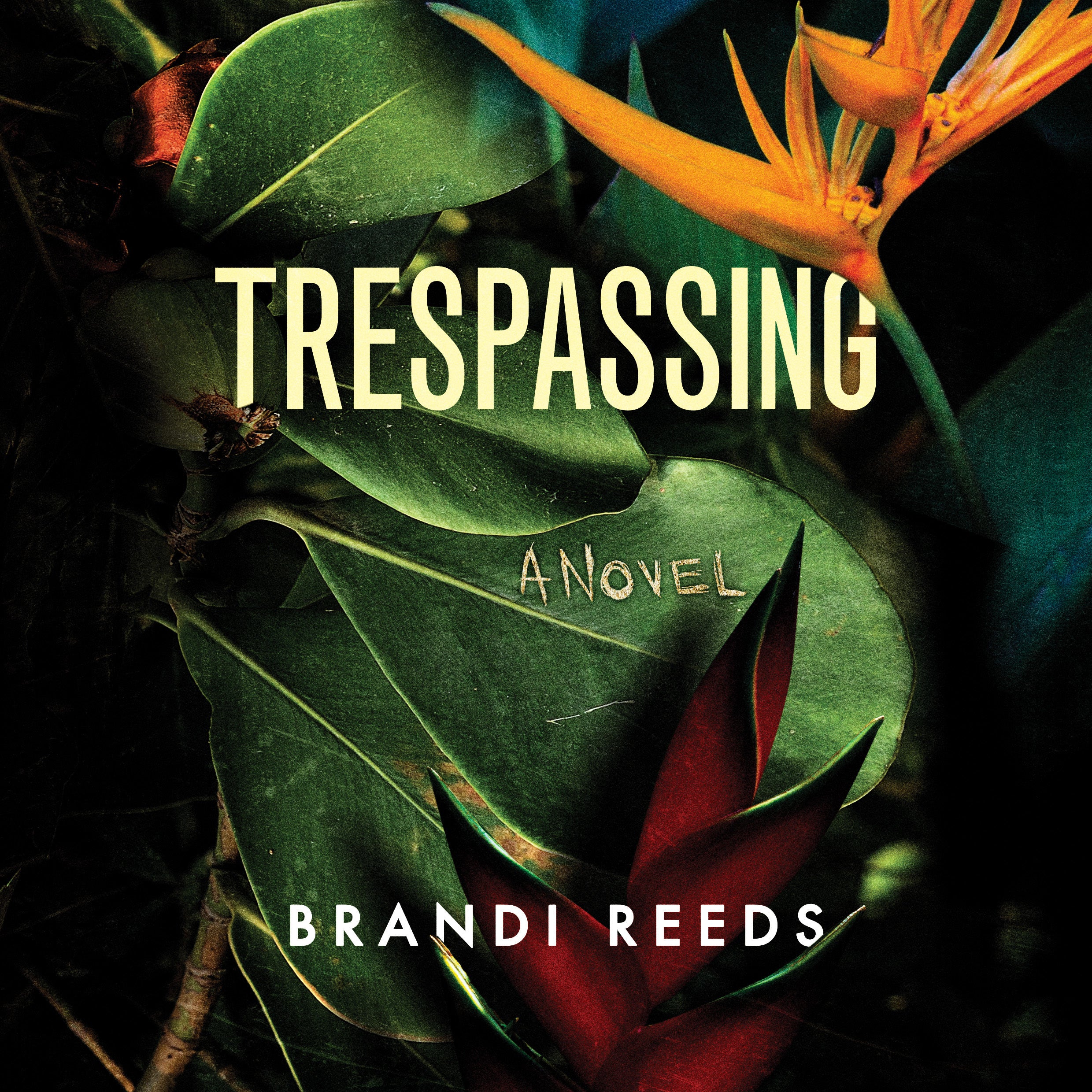Trespassing