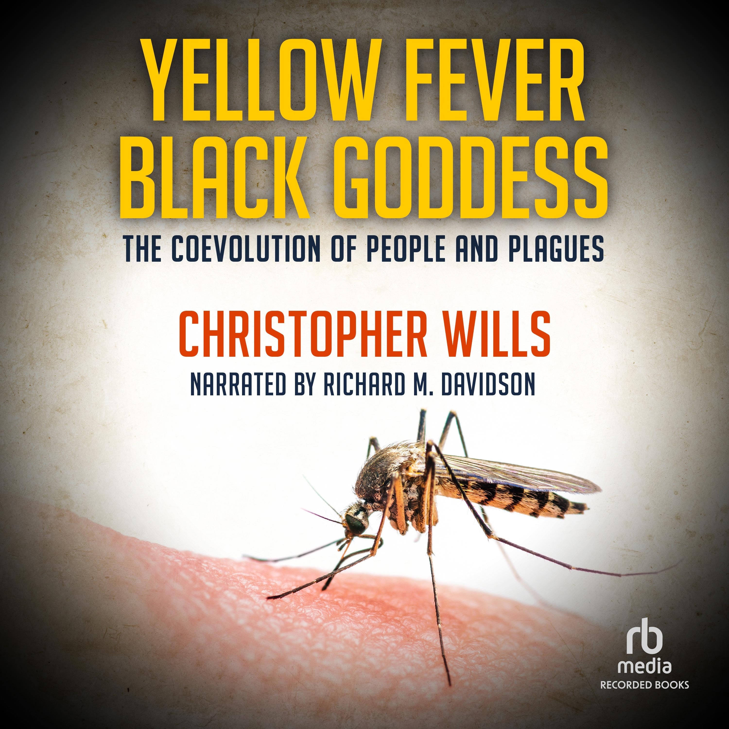Yellow Fever Black Goddess