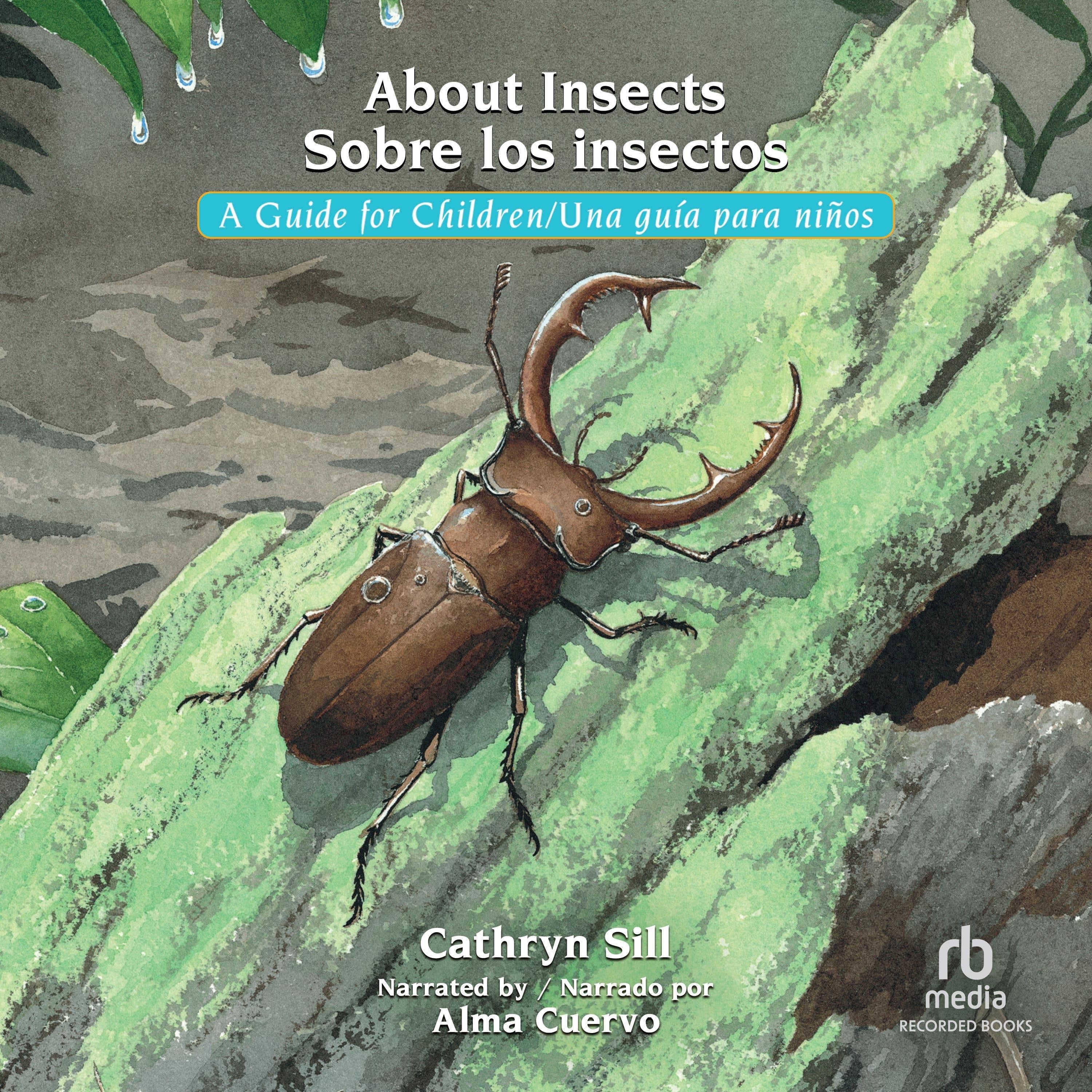 About Insects/Sobre los insectos