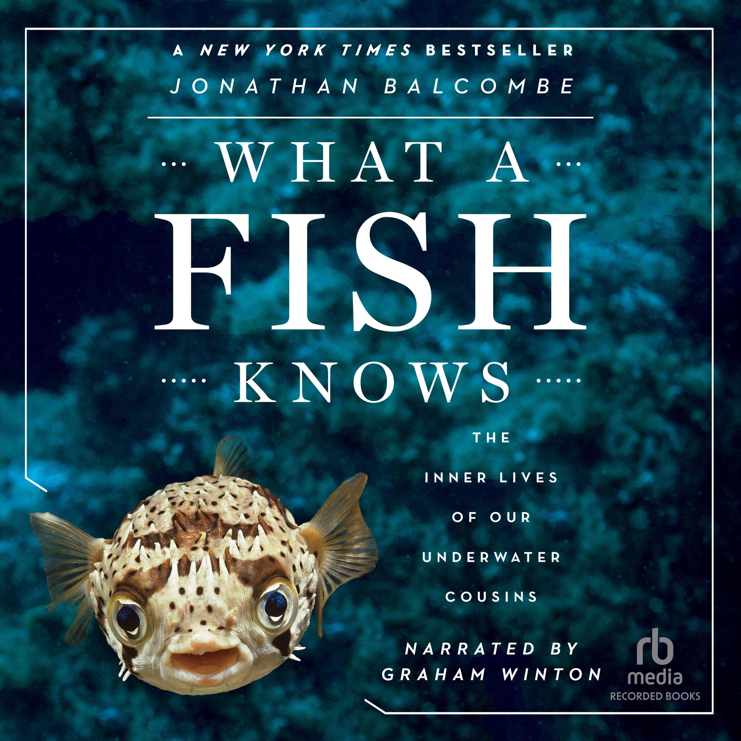 What a Fish Knows