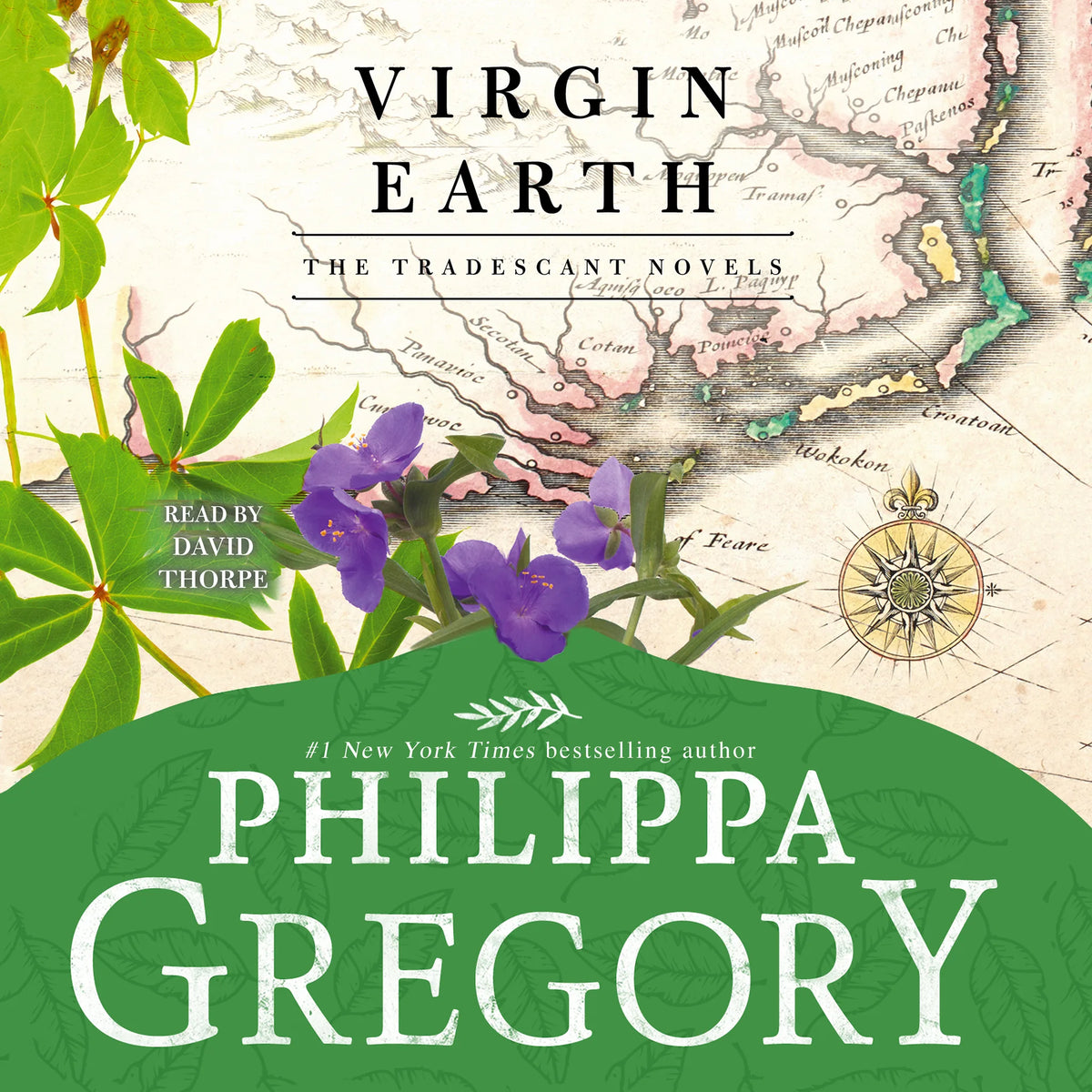 Virgin Earth
