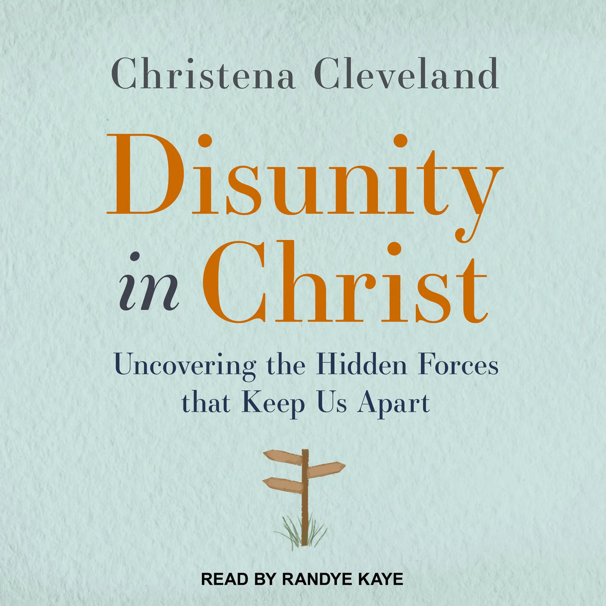 Disunity in Christ